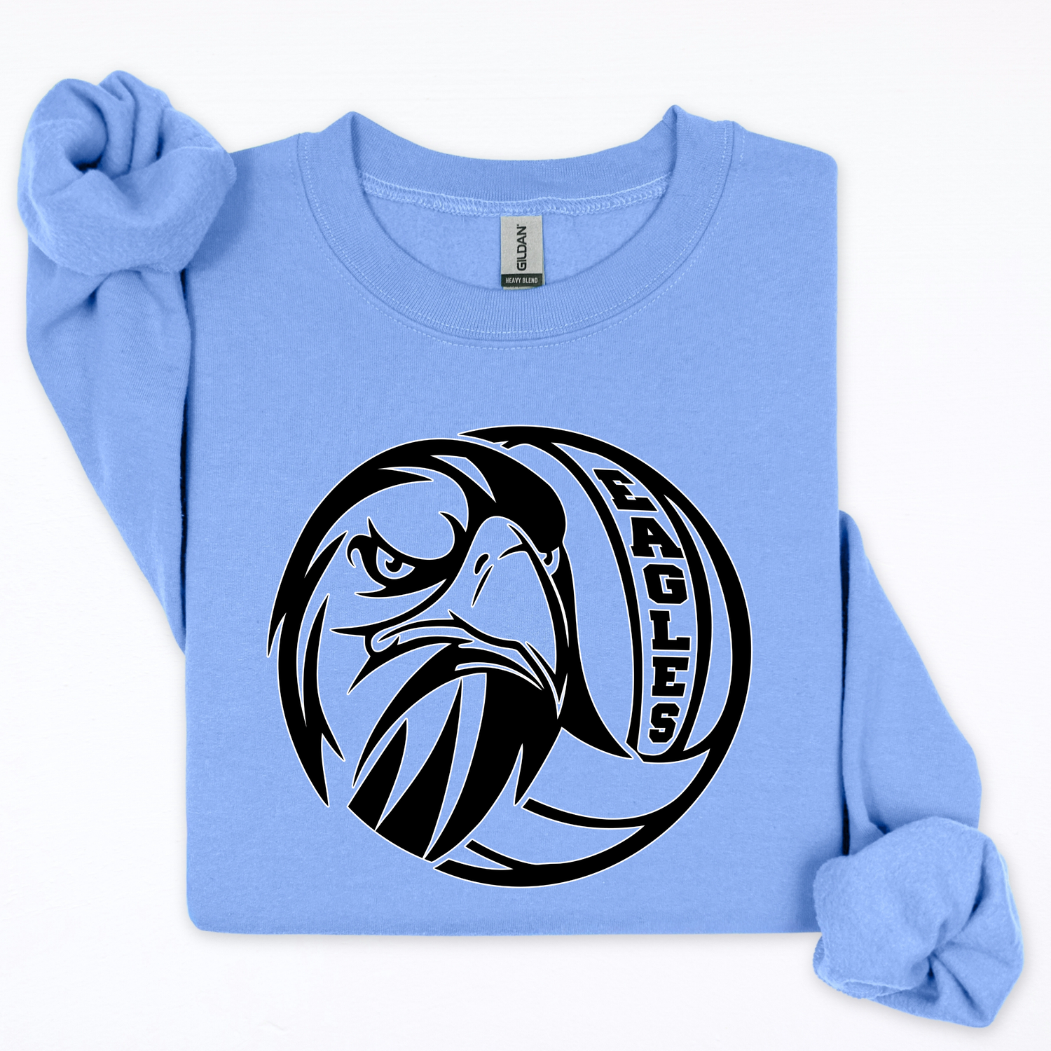 Eagle Inside Volleyball