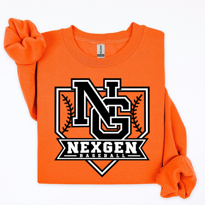 NG Baseball Plate and Seams