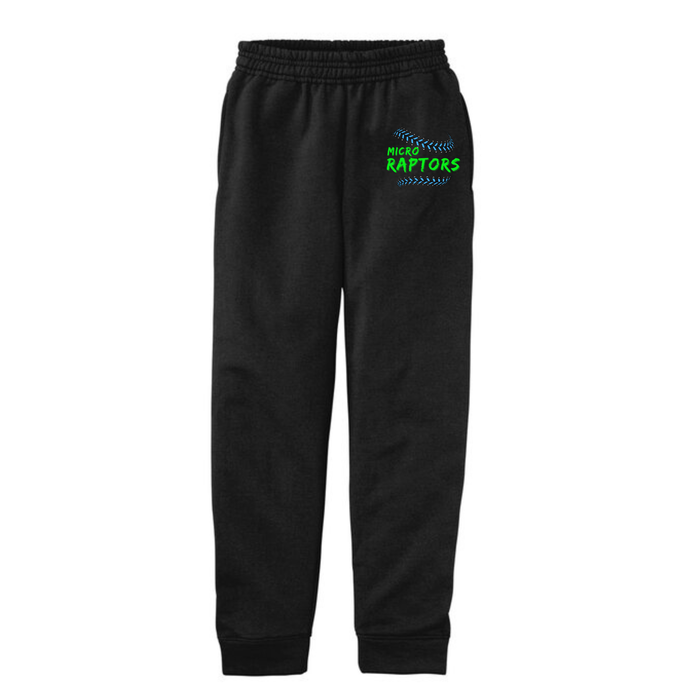 Micro Raptors Seams Joggers