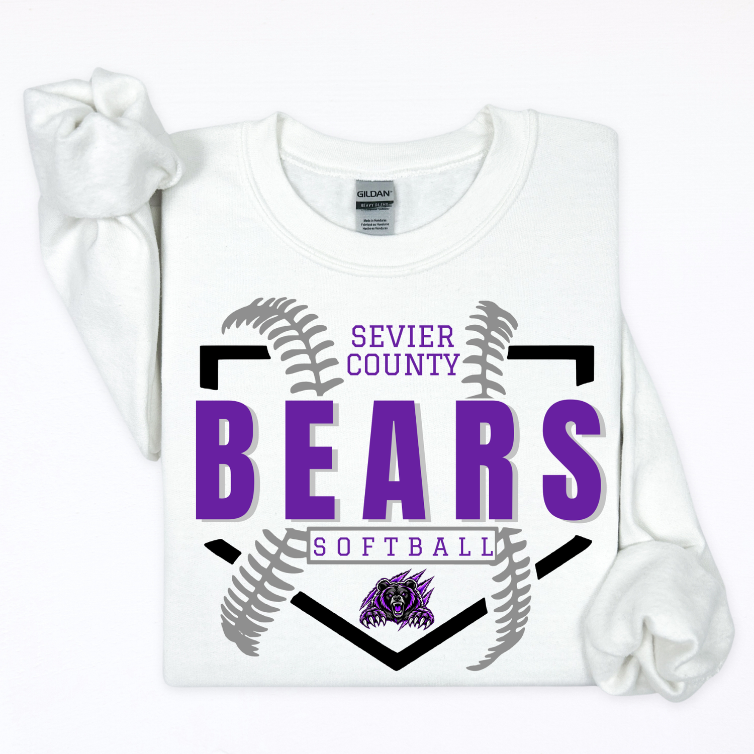 Sevier County Bears-Plate & Seams