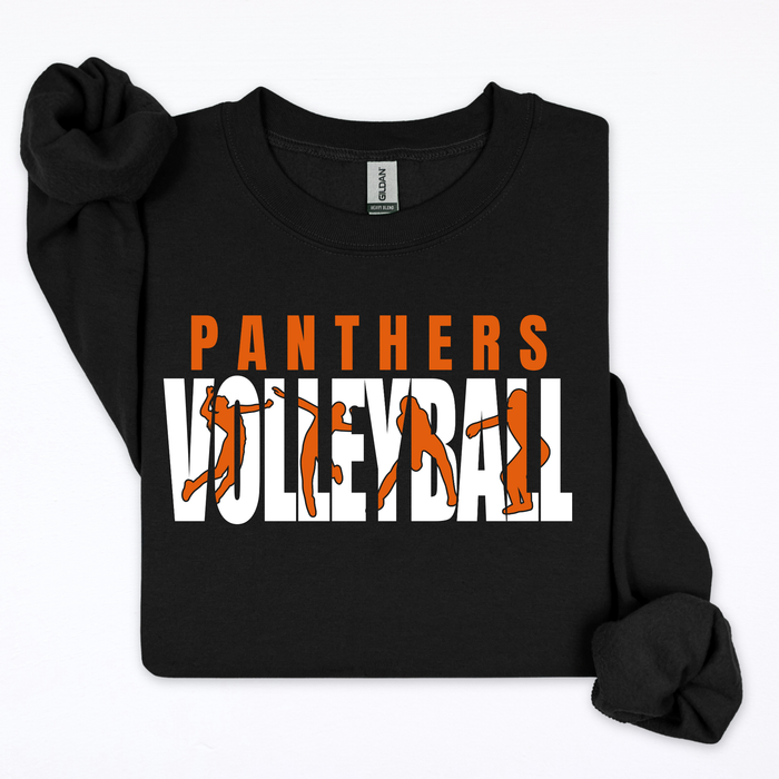 Panthers Volleyball-Bump, Set, Spike