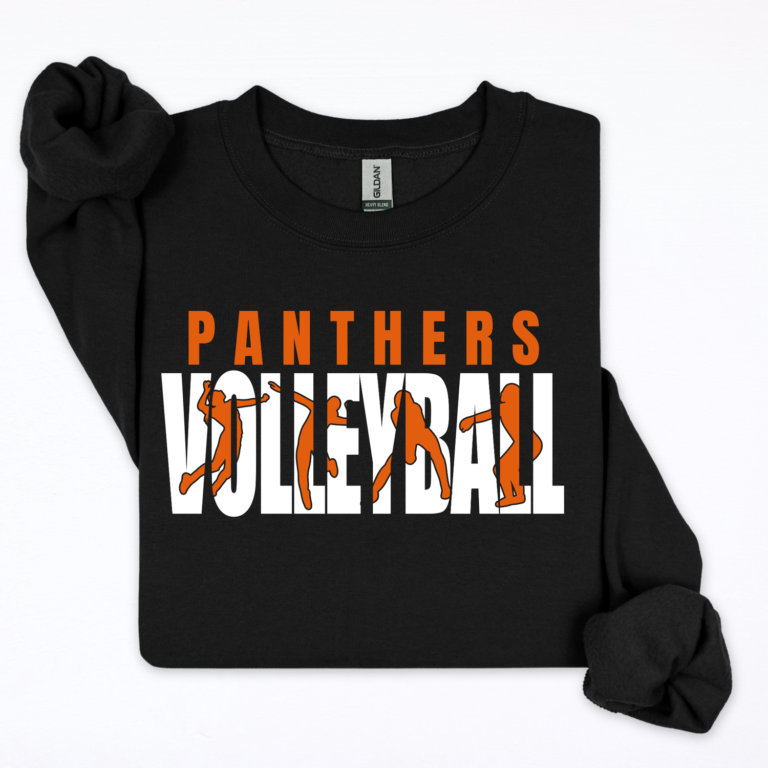Panthers Volleyball-Bump, Set, Spike