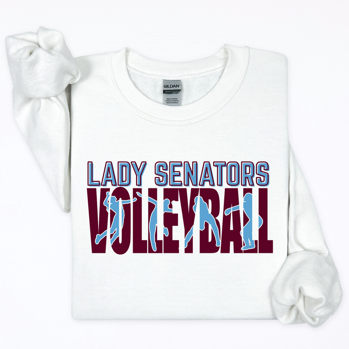 Lady Senators Volleyball- Bump, Set, Spike