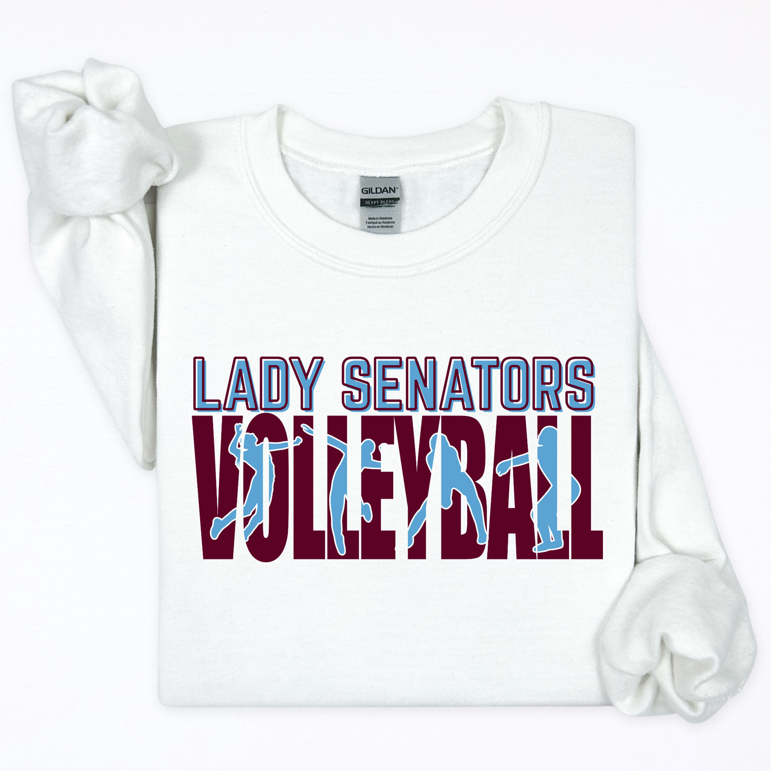 Lady Senators Volleyball- Bump, Set, Spike