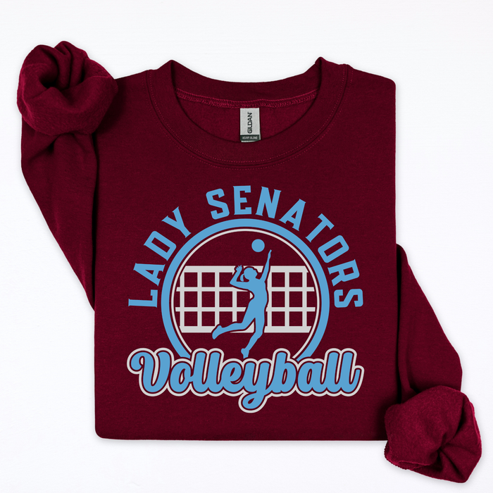 Lady Senators Volleyball-Net