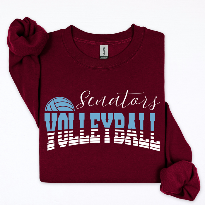 Senators Volleyball-Lines and Half Ball