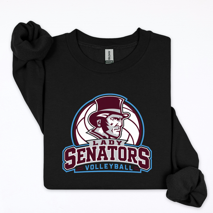 Lady Senators Volleyball- Senators Outline