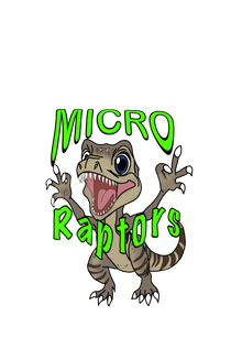 Micro Raptors