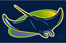 Knoxville Rays