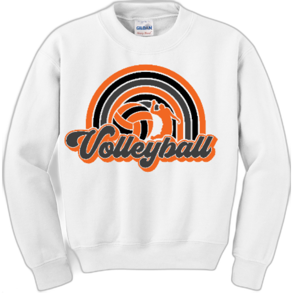 Youth Crewneck Nexgen Volleyball- Rainbow